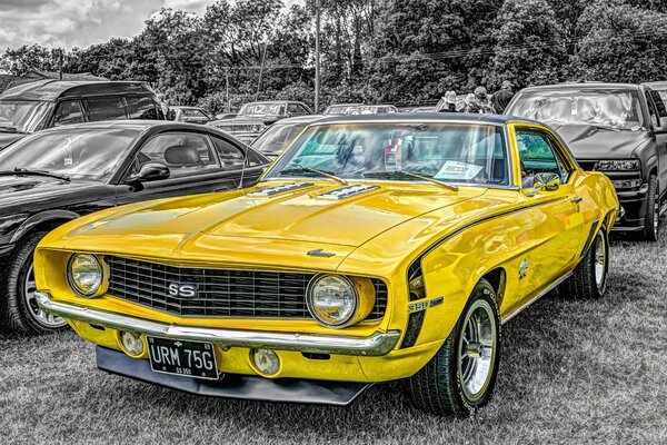 Chevrolet Camaro 1969 jaune muscle car