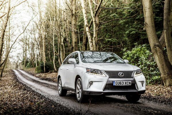 Lexus rx 450h 2012 color blanco