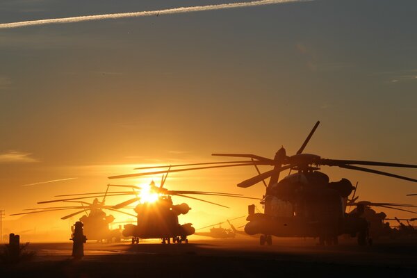 Several helicopters are parked at sunset