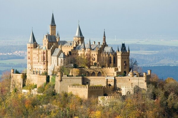 Hermoso castillo en una montaña en medio del bosque