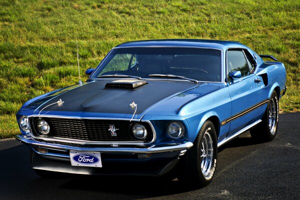 Beautiful car next to the green grass