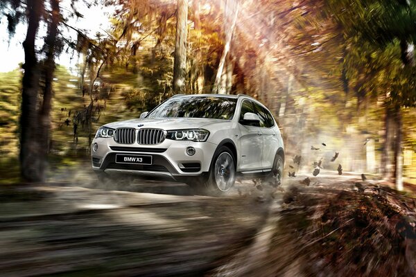 Une voiture blanche bmw se précipite sur la route