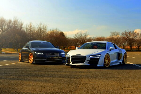 Blanc audi r8 et noir fossen A7