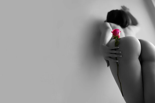 Chica desnuda posando con una rosa en la pared