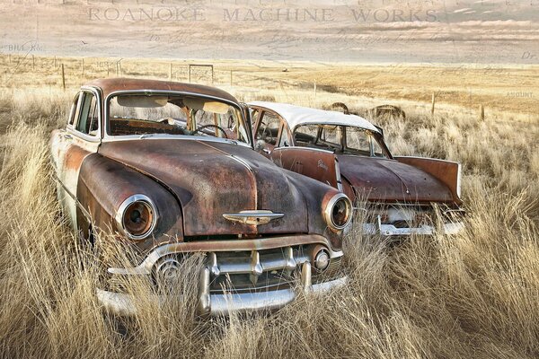 Deux vieilles voitures debout dans un champ