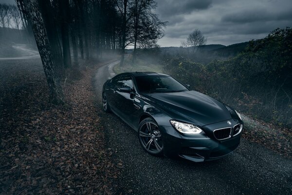 Bmw m6 conduce por la carretera a lo largo de la franja forestal