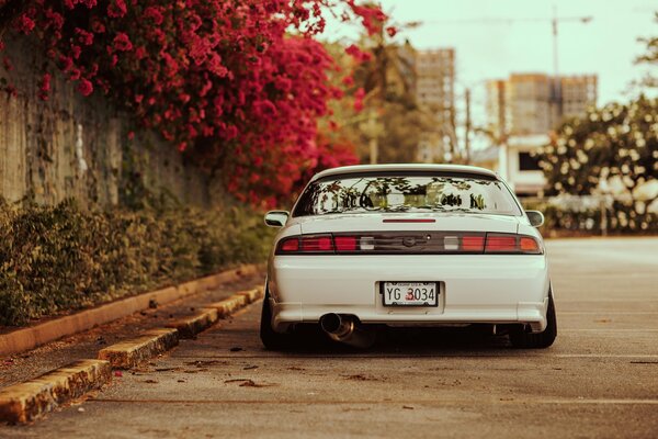 White nissan on the road with flowers