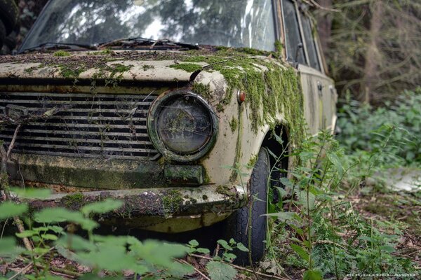 Ein altes moosbedecktes Auto steht im Wald