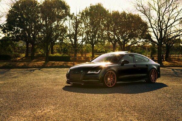 Paisaje de la mañana y Audi A7 en el sol