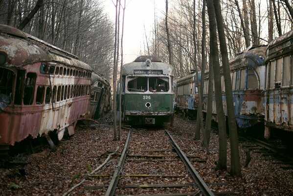 Parc automobile abandonné de vieux tramways