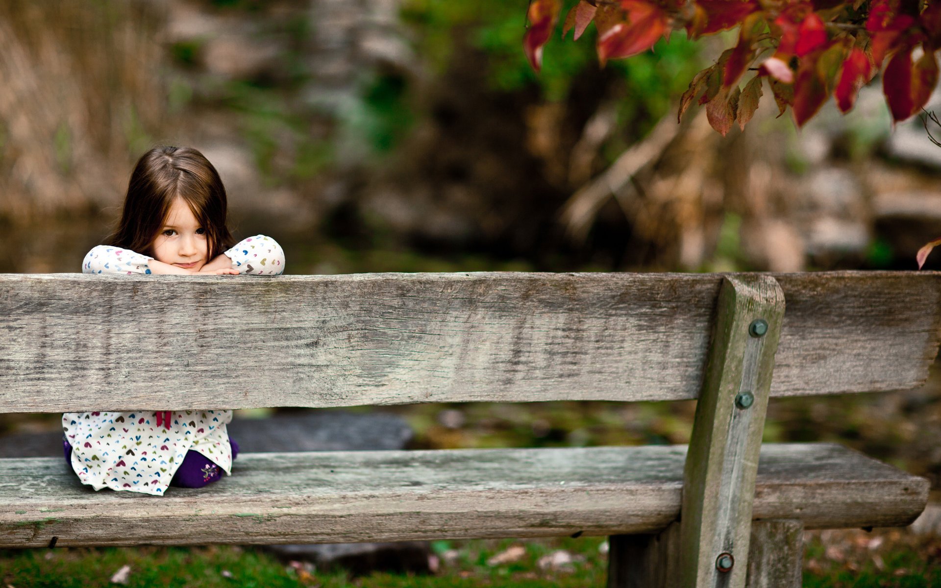 umore bambini foto ragazza ragazze vista parco foresta sorriso sorrisi sorriso posti a sedere panchine panca legno tavole occhi faccia