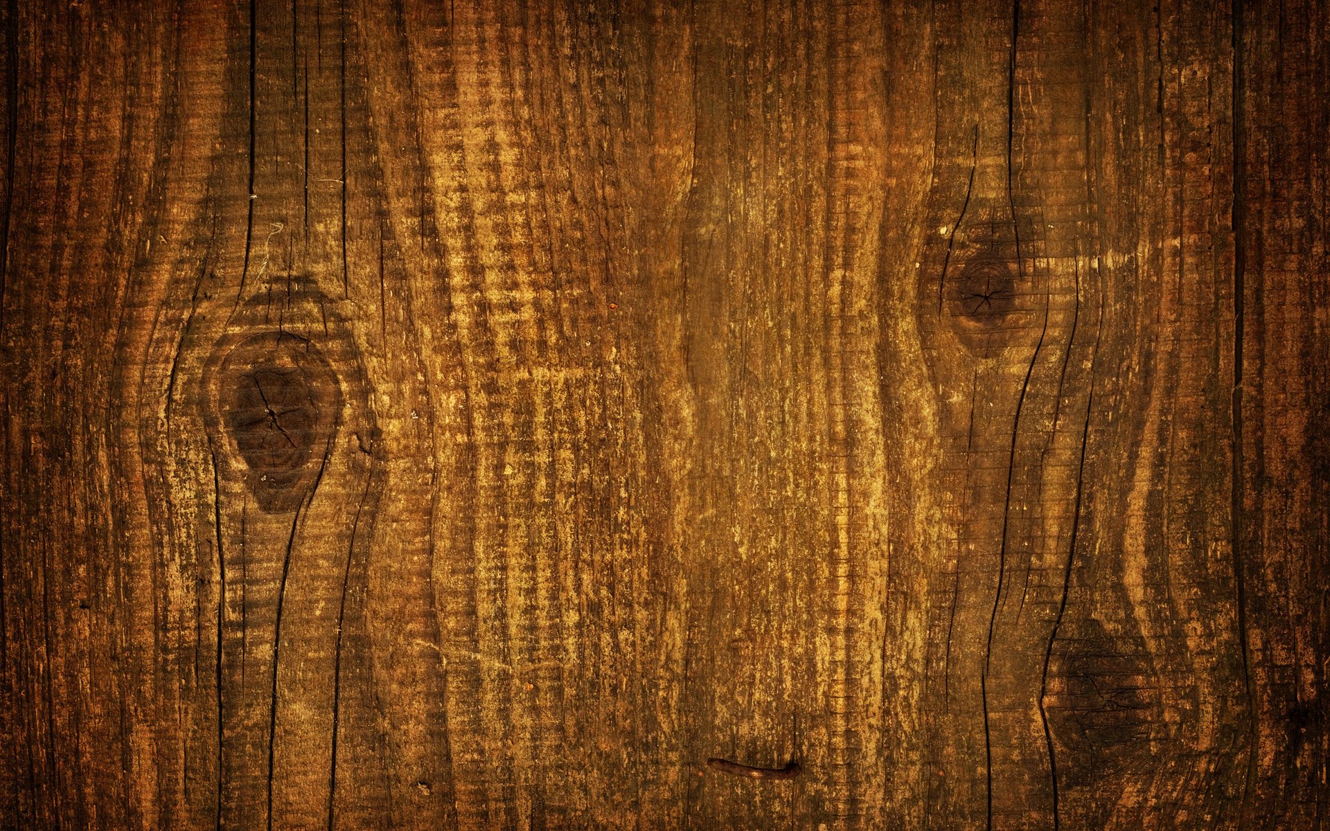 tree board bitches texture