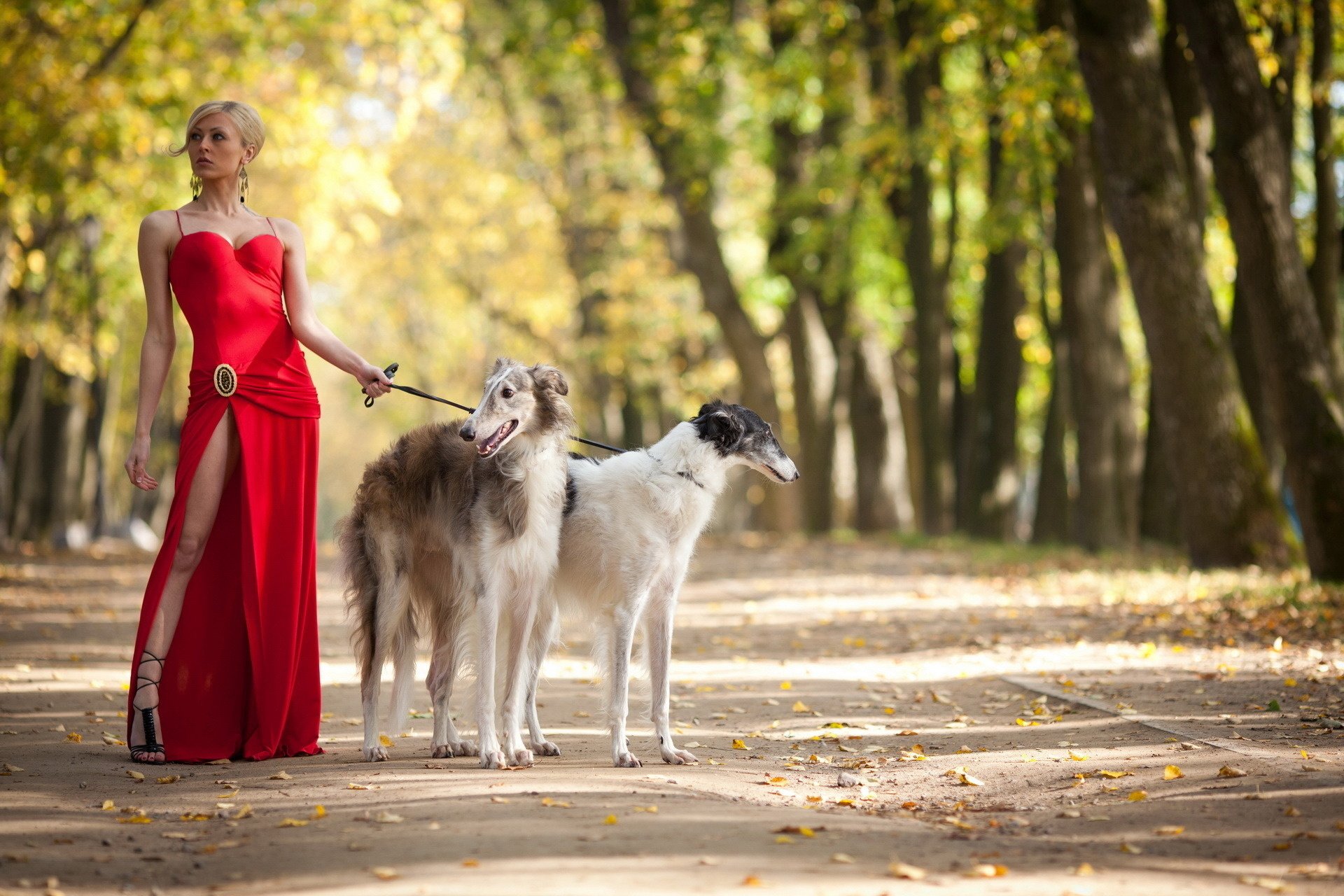 mädchen fuß hund spaziergang park blonde herbst blätter hund rotes kleid tiere wau-wau-ry-рыы fotomodell