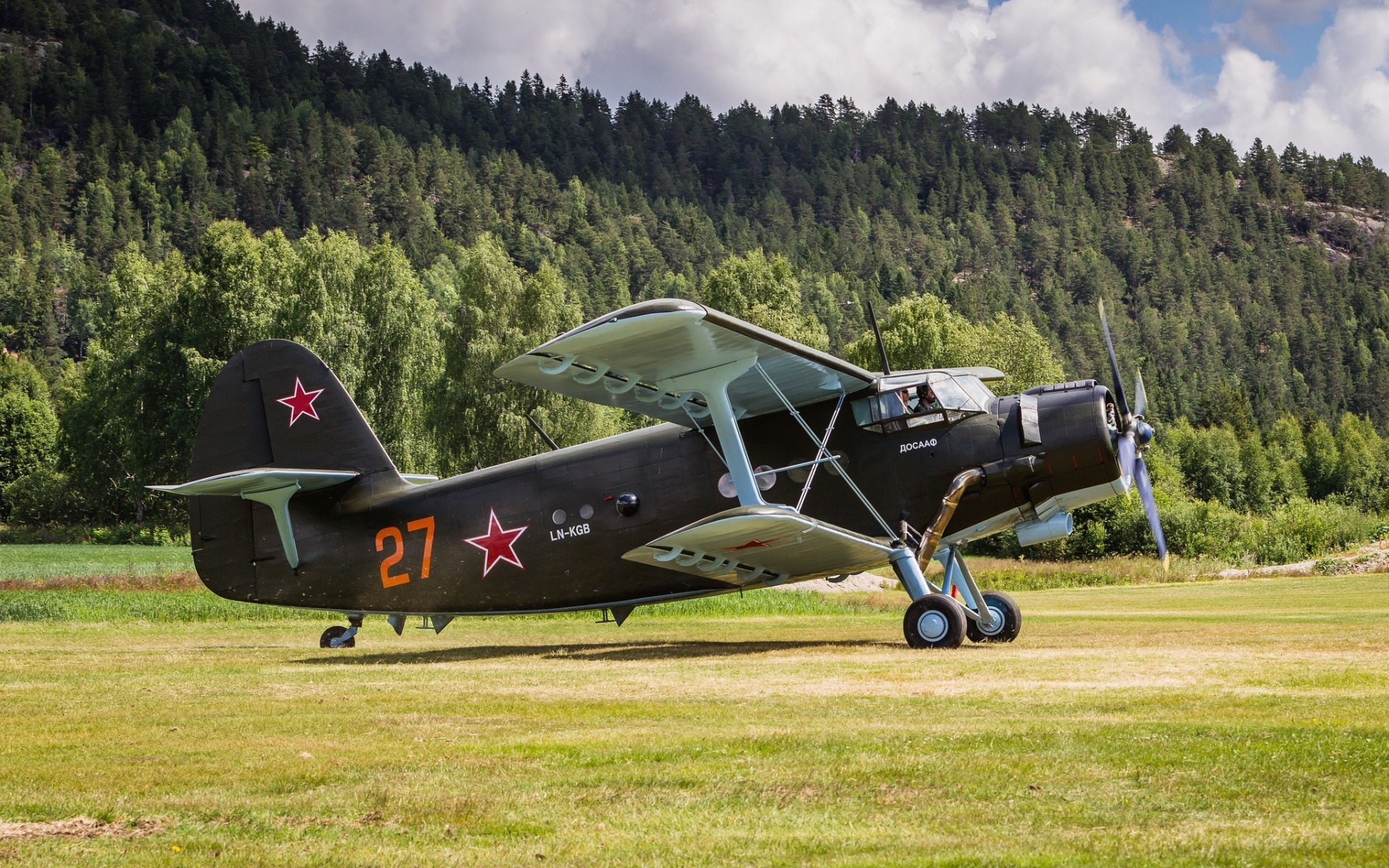 flugzeug leicht mehrzweck