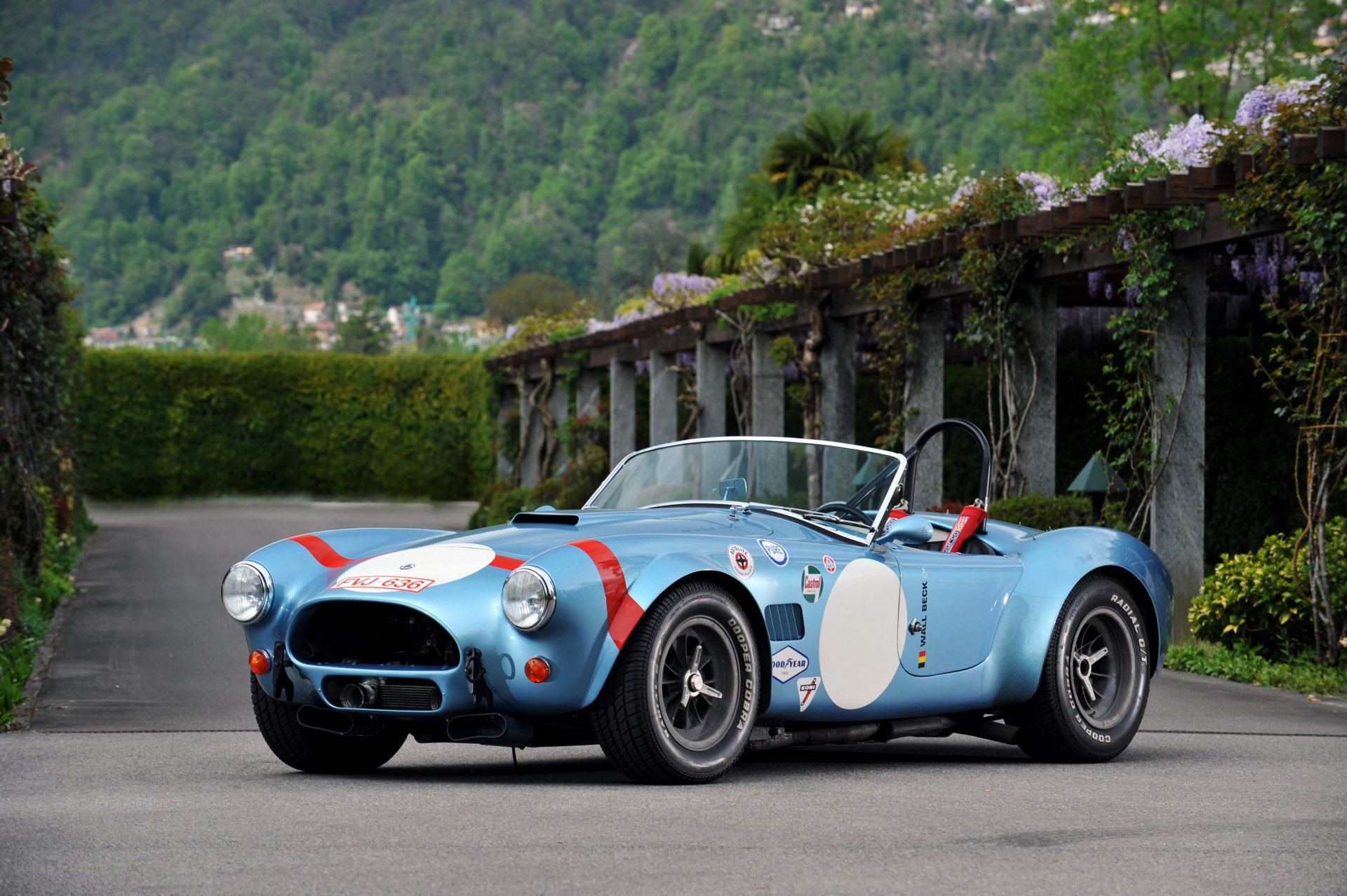 1964 shelby cobra ford fia concorso roadster classico