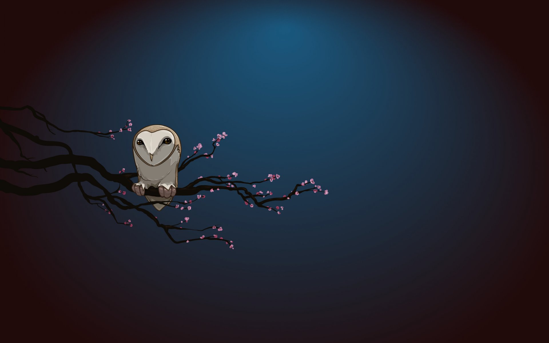 minimalism flowers owl night branch easy the dark background bird figure dark anime blue