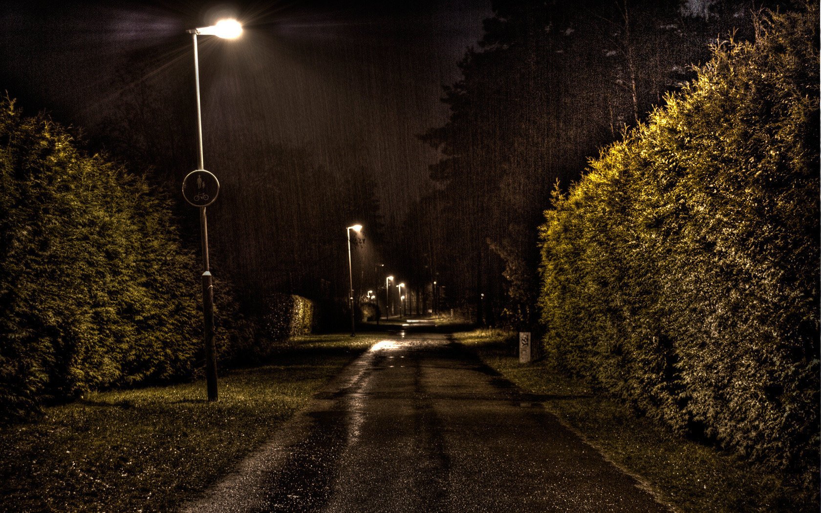 treet rain lantern night the lights of the city