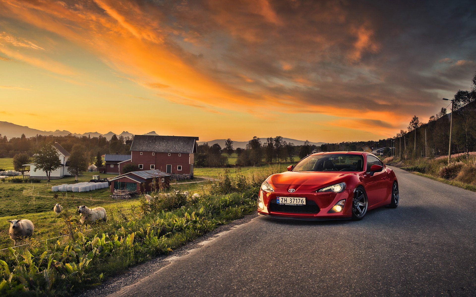 toyota gt86 car landscape sheep