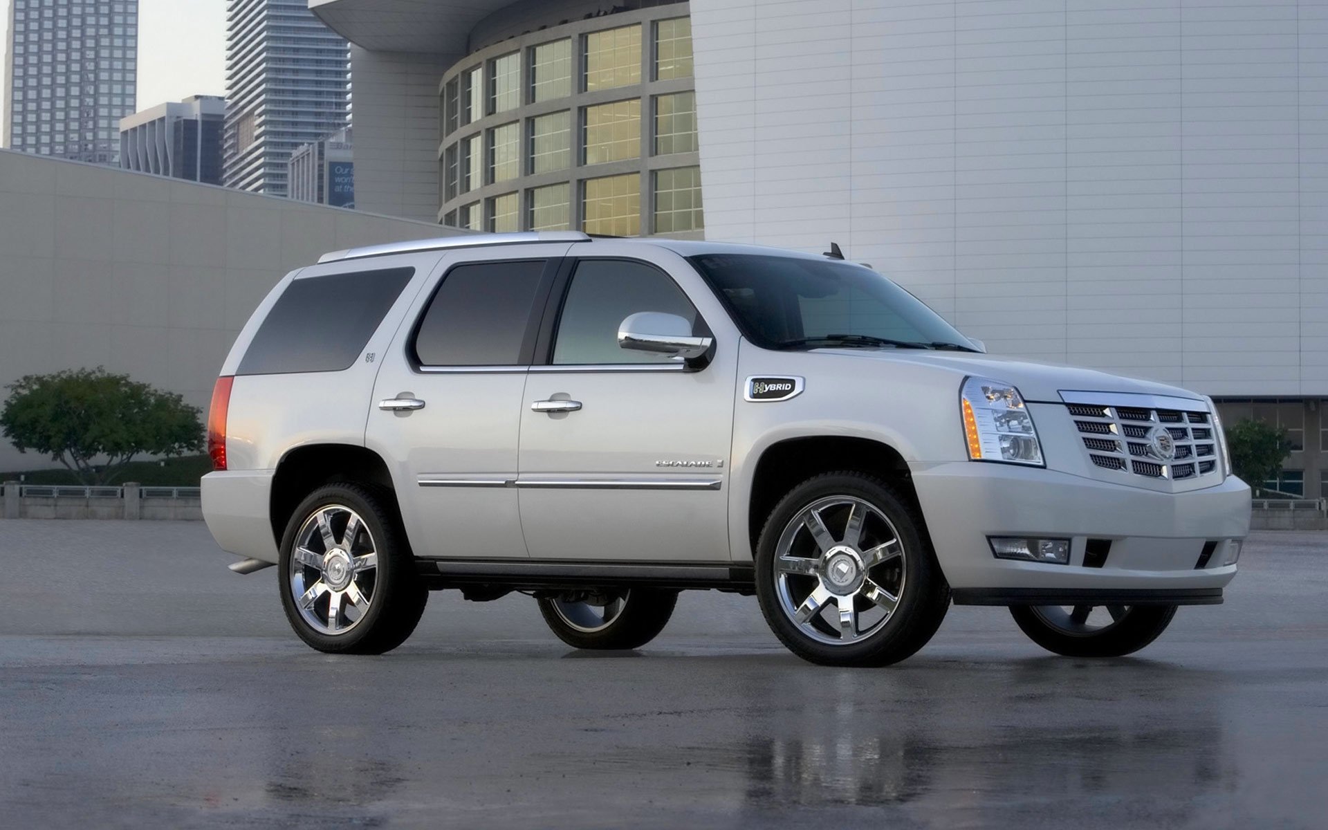 cadillac escalade jeep a side view white car wet asphalt