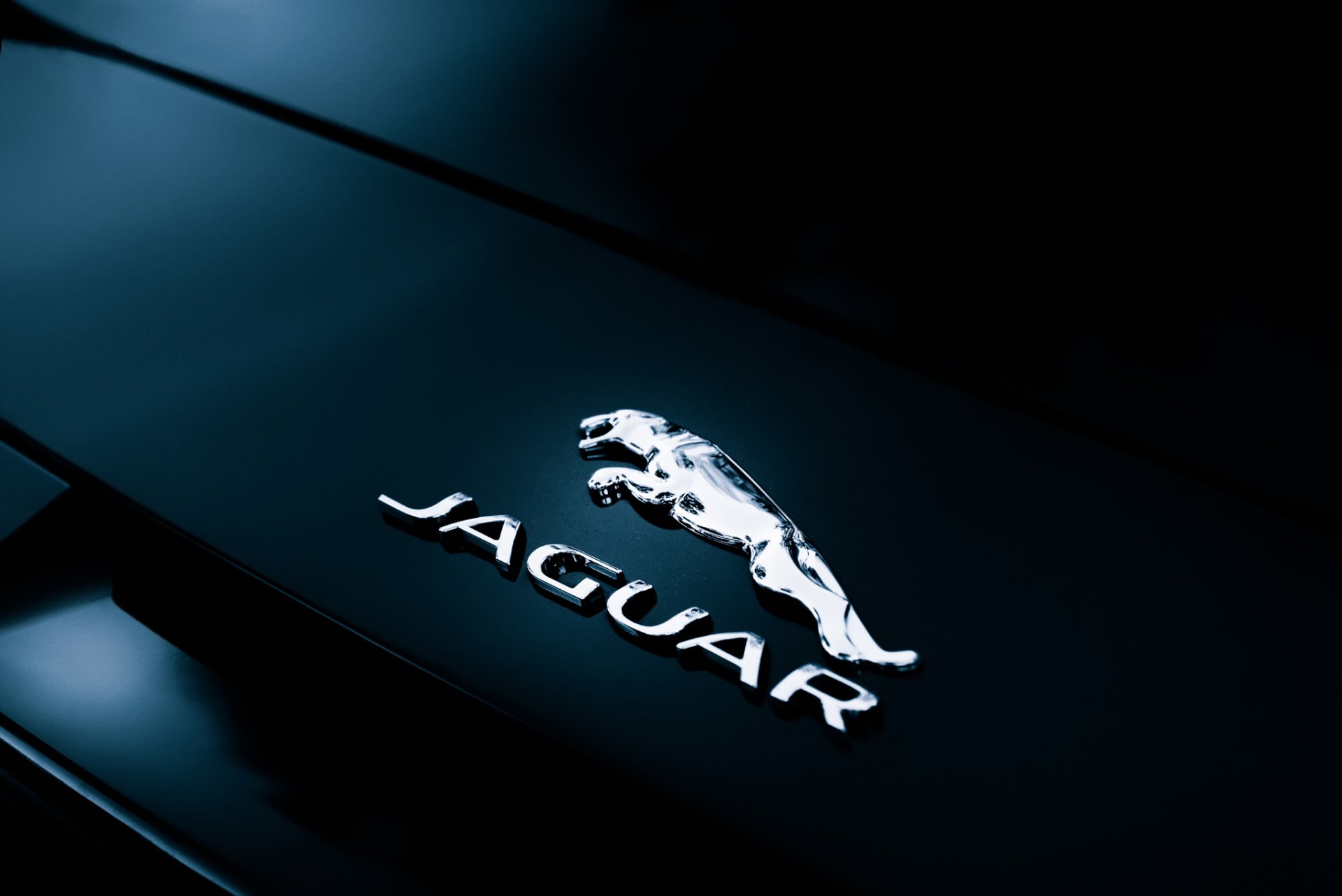 jaguar f-type convertible rear badge label