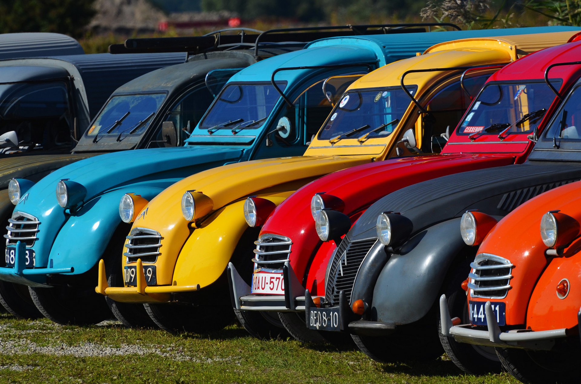 citroen 2cv ряд ретро цвет краска фара выставка