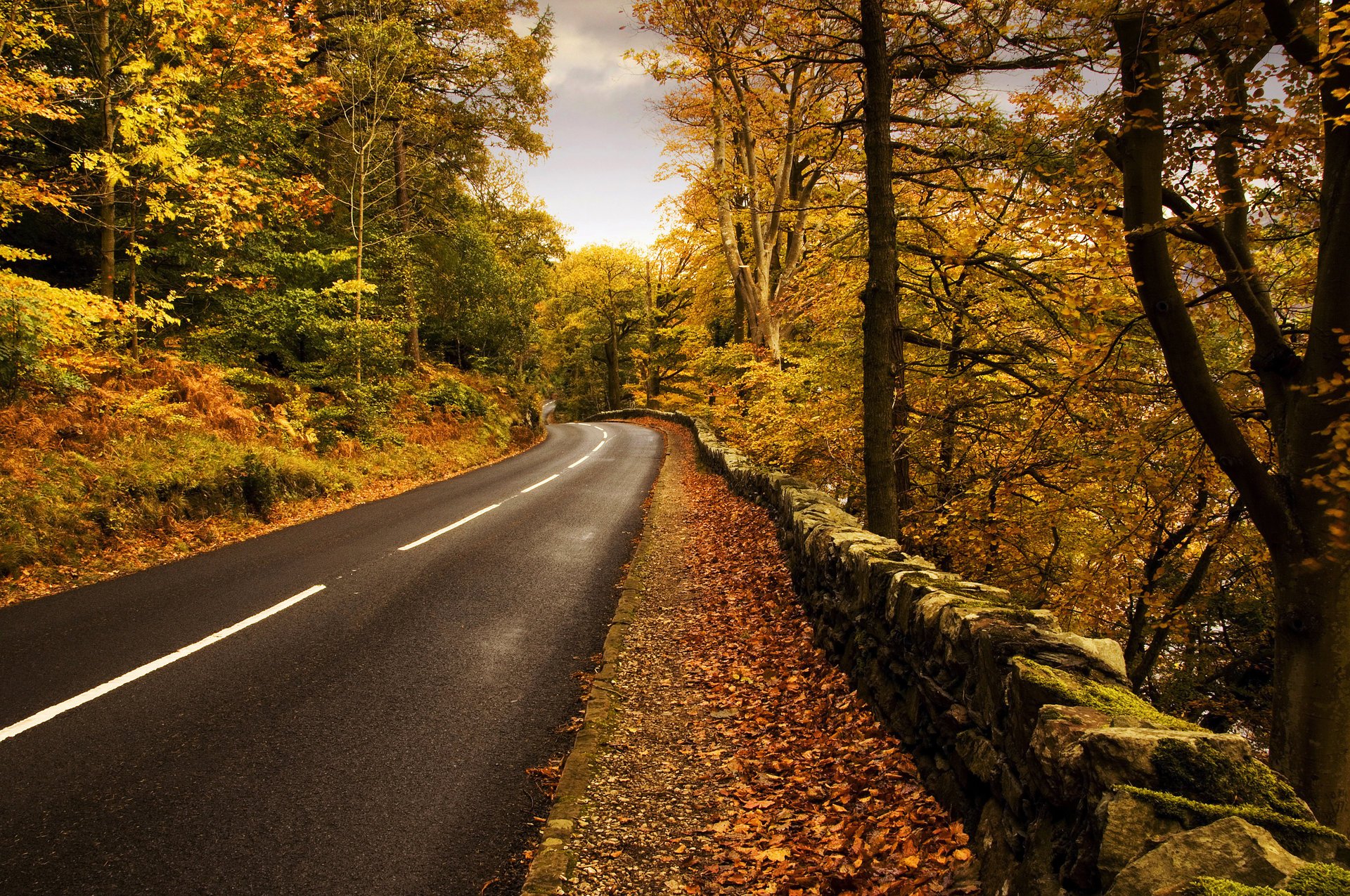 nature automne route marquage forêt chute des feuilles âge d or été indien feuilles jaunes asphalte nuages