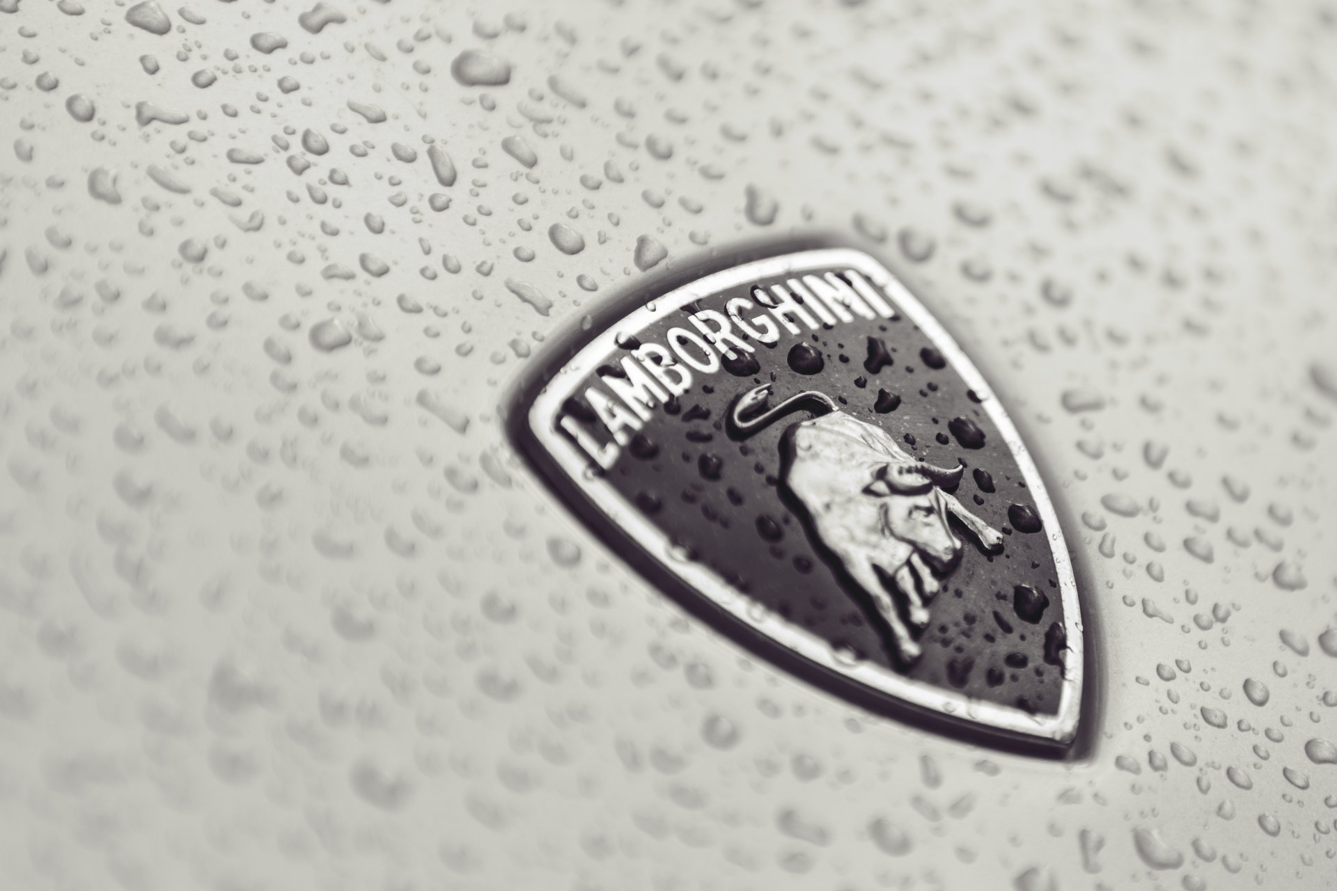 lamborghini icona macro minimo