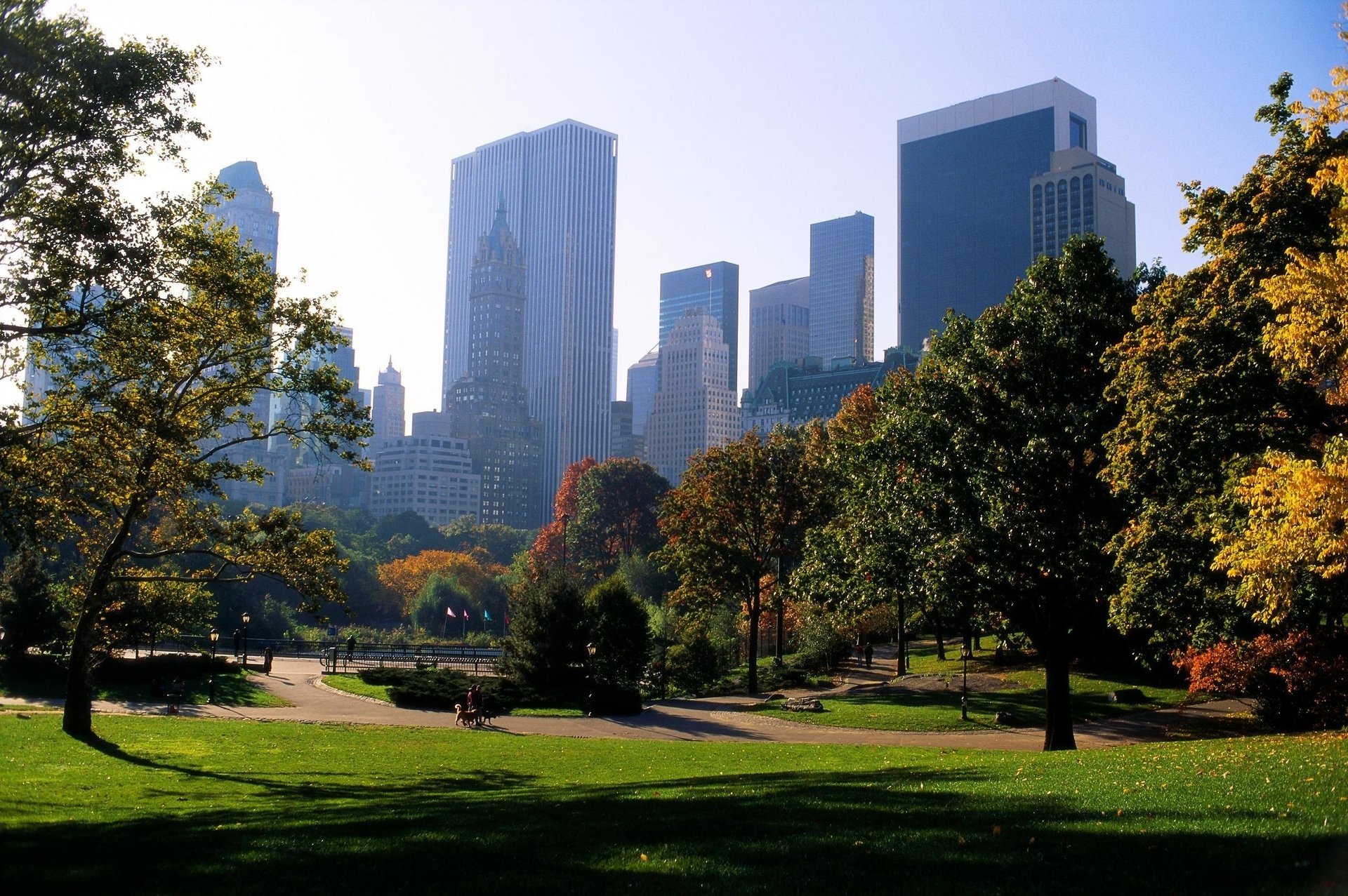 new york new york park park bäume fußweg wege stadt city usa amerika grün rasen