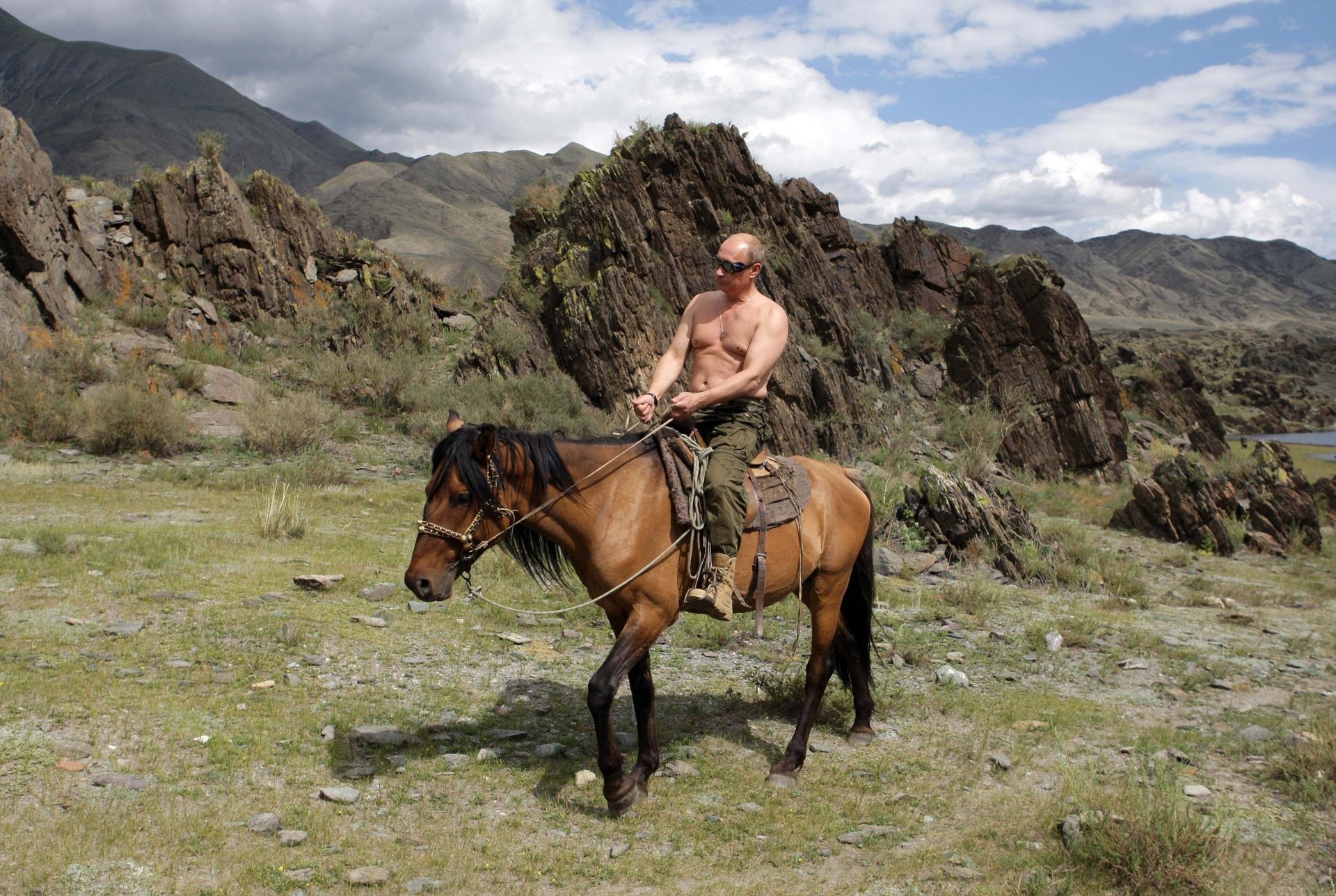 vladimir putin presidente della russia primo ministro della russia cavallo natura montagna putin carta da parati politica animali ungulati cavalli rocce paesaggio baia