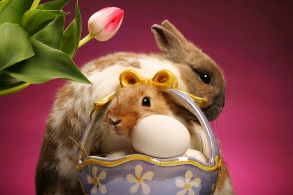 Two Easter bunnies in a basket
