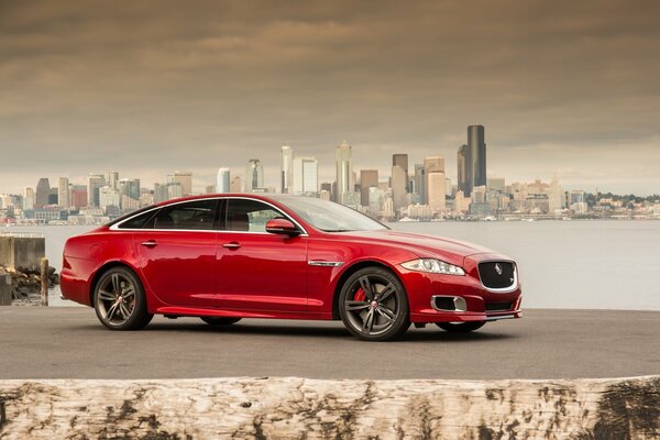 Jaguar rojo en el fondo de la ciudad