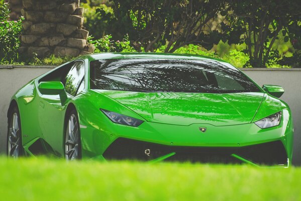 Green candy Lamborghini urakan