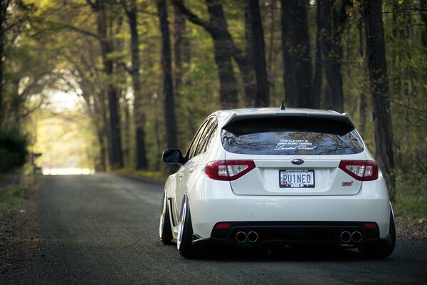 Subaru Impreza blanco en el camino