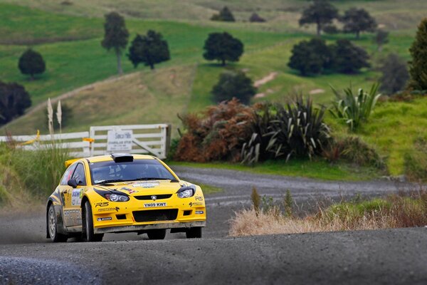 Auto sportiva gialla sulla strada durante il rally