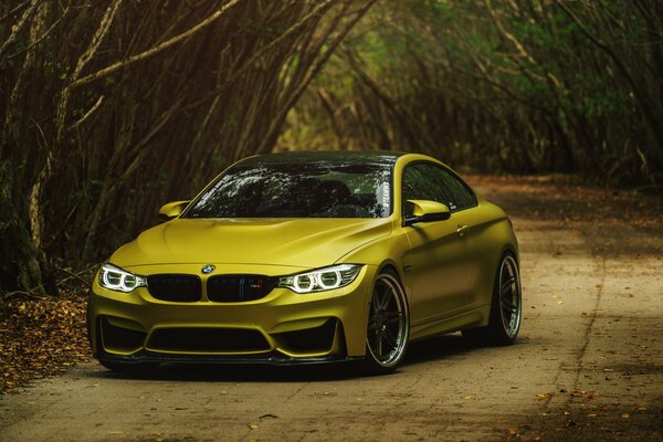 Yellow car on the alley in the park