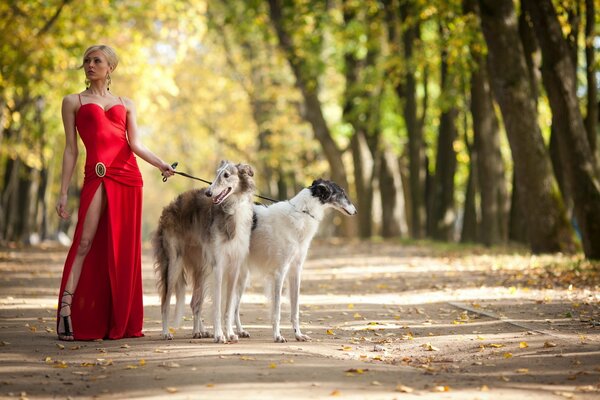 Belle fille en robe rouge avec deux chiens