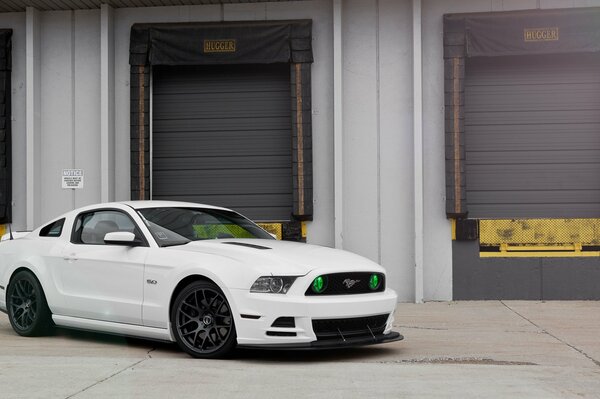 Car white Ford Mustang gt500