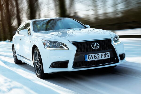 Lexus sportive blanche sur la piste d hiver