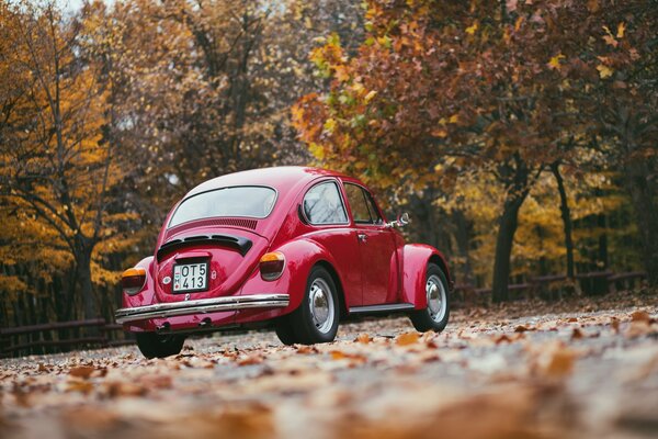 Piccola macchina rossa in un giorno d autunno