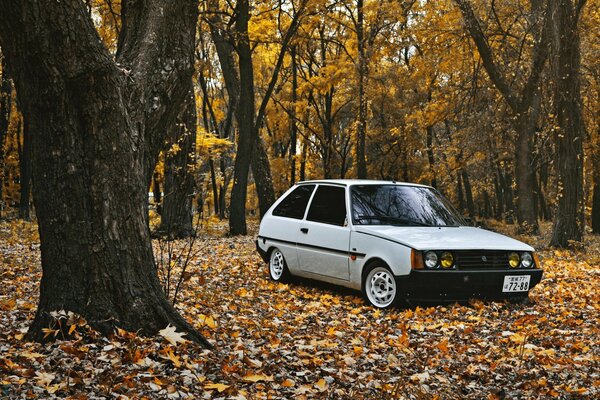 Tavriya 1102 Retro im Herbstlaubfall