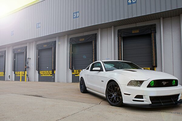 Ford Mustang gt500 blanc sur fond de garages