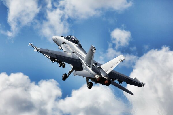 Silver Boeing hornet in the sky