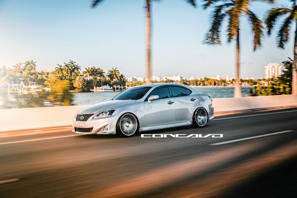 Silver car on the background of the river and palm trees