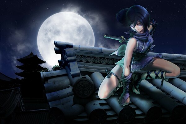 Ninja on the roof by moonlight