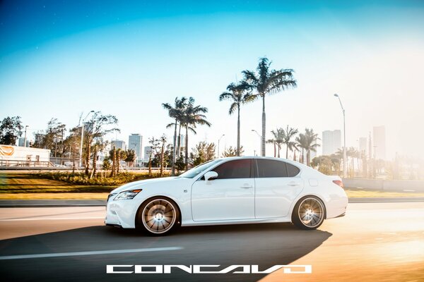 White Lexus on a background of palm trees in the sun