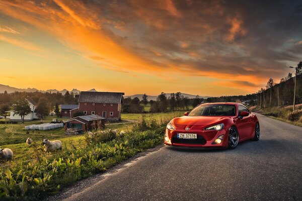 A red Toyota on the road. Beautiful landscape with sheep and orange sky