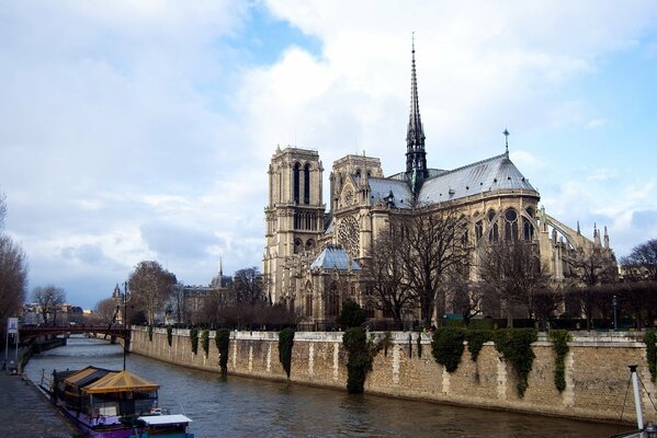 Собор парижской богоматери на фоне реки
