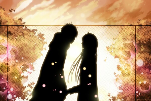 Silhouettes of a guy and a girl in the rays of autumn