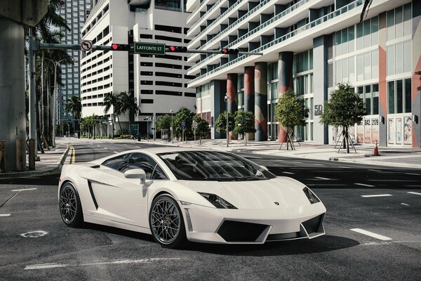 Weißer Lamborghini im Stadtdschungel