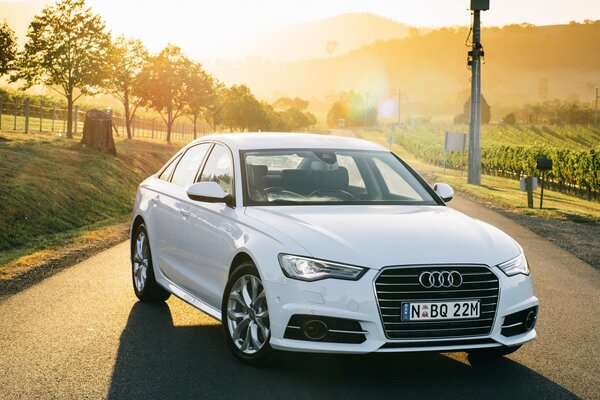 Audi A6 blanco en la carretera